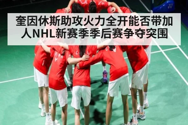 奎因休斯助攻火力全开能否带加人NHL新赛季季后赛争夺突围